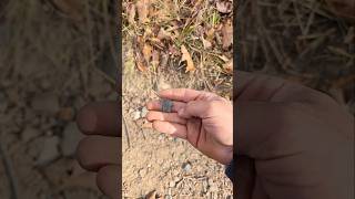 Arrowhead hunting you can even find them on a four wheeler trail upstate New York [upl. by Marcel357]