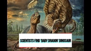 PaleoMania ep 5  Scientists Discover Baby Dragon Dinosaur Beibeilong [upl. by Wright]