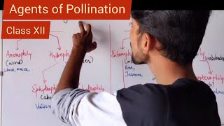 Agents of Pollination  Shivam Oswal [upl. by Iinde]