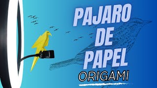 🌈Papiroflexia Infantil🦜PÁJARO DE PAPEL🦜descubre el Arte del ORIGAMI [upl. by Illehs366]