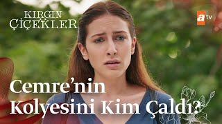 Cemrenin kolyesini çalan kim  Kırgın Çiçekler [upl. by Silliw706]