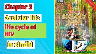 life cycle of HIV class 11 biology Sindh board [upl. by Castor965]