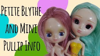 Petite Blythe and Mini Pullip Info Session [upl. by Meurer]