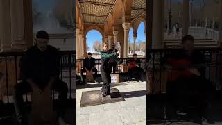 Flamenco dance at Séville Plaza de España 💃spain [upl. by Sammer]