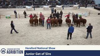 CWA 2024  Hereford Show Broadcast  Regina SK [upl. by Zeuqram]