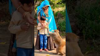 Birthday celebration 🎉🎂🥳 ￼ sherameenasantha meenawati birthday birthdaycelebration animals [upl. by Jackquelin300]