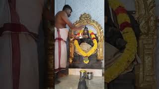 Salem Shevapet AVP Kovil Street Viniyagar Temple Sevvai Kilamai Muruganamp Viniyagar Poojai 29102024 [upl. by Annavoig197]