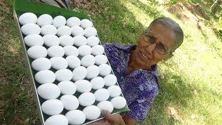 Egg Omelette Masala Curry prepared in my Village by Grandma  Village Life [upl. by Hoashis]