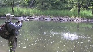 Fishing the Bluestone River WV Smallmouth Bass [upl. by Yemaj914]