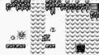 Super Mario Land Gameboy Speedrun in 1253 [upl. by Enilkcaj]