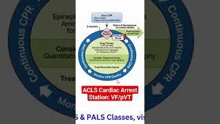 Prepare for your ACLS MegaCode with FloridaTraining AHA ACLS [upl. by Celestyna]