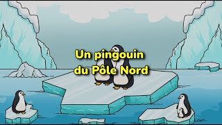 Le pingouin CLIP [upl. by Ydnyc11]