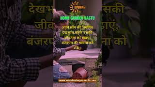 Home Garden Vastu Hindi Tip 14 [upl. by Louanne]