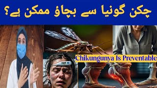 Chikungunya Fever Causes Signs and Symptoms Diagnosis amp Treatment  Dr Muqadus Official [upl. by Alisia578]