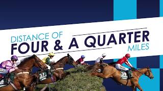 Guide to the 2019 Randox Health Grand National [upl. by Assiruam]