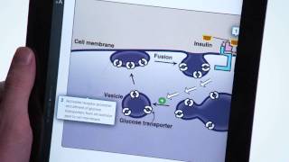 Lippincotts Illustrated Reviews Biochemistry  Harvey amp Ferrier [upl. by Rentschler]