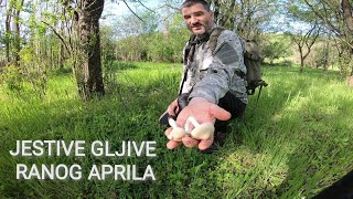 JESTIVE GLJIVE RANOG APRILA [upl. by Bakerman]