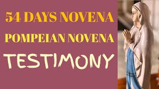 54 DAYS ROSARY NOVENA TESTIMONY  POMPEIAN NOVENA TESTIMONY [upl. by Nageet]