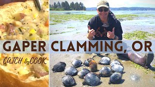 GAPER CLAMMING OR Catch amp Cook New England Clam Chowder [upl. by Sungam]