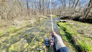 A BIG TROUT Lives in This Small Creek trout fishing [upl. by Yrahk]