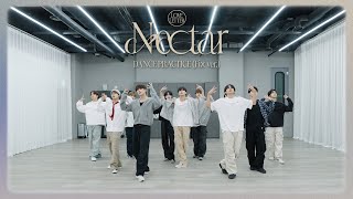 THE BOYZ더보이즈 ‘Nectar’ DANCE PRACTICE Fix ver [upl. by Iew753]