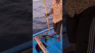 മീനിനെ ബോധം കെടുത്തിയത് കാണണോ shortsfeed malayalamfishing fishing malayalamfishingvideo fish [upl. by Afas]