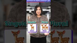 12 Irregular Plurals ✅ You Must Know 😱  Singular vs Plural Words  English Connection shorts [upl. by Atoiganap489]