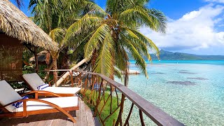 Beach Resort 3 Hours of Hotel Ambience in The French Polynesian Islands [upl. by Einnod966]