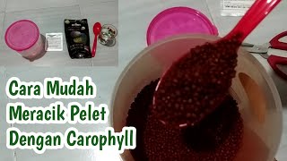 CARA MUDAH MENCAMPURKAN PELET DENGAN CAROPHYLL PINK [upl. by Ennazus559]