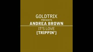 Goldtrix pr Andrea Brown  Its Love Trippin Radio Edit [upl. by Lliw]