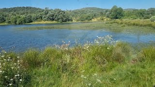 Hoy segamos en una finca con unos parajes muy bonitos😉👍 [upl. by Amolap]