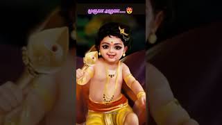 Chinna chinna Murugaiah💞🦚muruganlove💖thiruchendhur😉balamuruga 🦚⚜️ murugaa😍✨shorts [upl. by Yatnuhs]