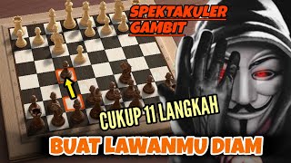 Colorado Gambit ‼️Gambit hitam yang sungguh paling brutal ✔️ [upl. by Thordis441]