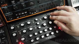 Moog Dfam Ambient with reverb [upl. by Duffy]