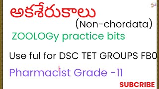 అకశేరుకాలు practice bits useful for DSC TET GROUPS PHARMACIST FBO [upl. by Ellekcim226]