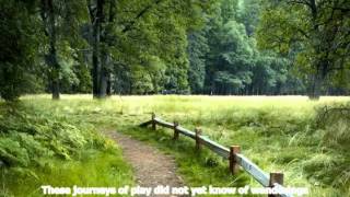 Heidegger The Fieldpath English Subtitles 1 of 2 [upl. by Godwin526]