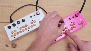 Critter amp Guitari  Bolsa Bass Demo [upl. by Lais48]