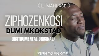 Rediscovering Identity Dumi Mkokstad  Ziphozenkosi  Instrumental [upl. by Aneeras183]