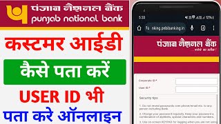 pnb bank customer id kaise pata kare पंजाब नेशनल कस्टमर आईडी कैसे पता करें [upl. by Byrne113]