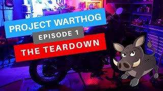 Project Warthog EP 1 KLR650 Build [upl. by Nohcim]