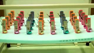 Kuramoto model of synchronisation 32 metronomes synchronise themselves [upl. by Brenza940]