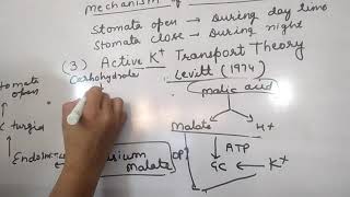 Mechanism of stomatal movement [upl. by Eseerehc344]