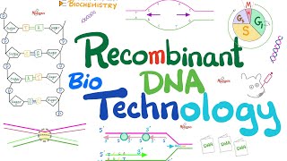 Recombinant DNA technology Biotechnology  Molecular Biology 🧬 amp Biochemistry [upl. by Margette]