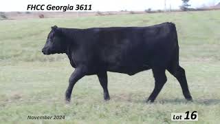 Lot 16 FHCC Georgia 3611 [upl. by Rayburn]