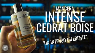 ¿ES DIFERENTE INTENSE CEDRAT BOISE  PP [upl. by Niotna]