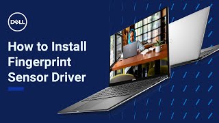 How to Install Fingerprint Sensor Driver Windows 11 Official Dell Tech Support [upl. by Hump]