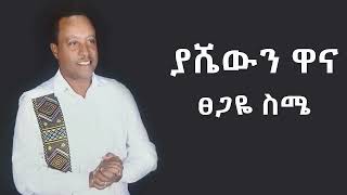 Tsegaye Seme  Yashewen Wana  ፀጋዬ ስሜ  ያያሼውን ዋና  New Ethiopian Gurage Music 2024 [upl. by Reppep918]