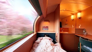 10 Hours on Japan’s First Class Overnight Train  🇯🇵 Sunrise Express [upl. by Erena]