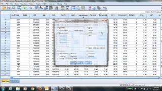 SPSS amp Descriptive Statistics [upl. by Artus]