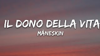 Måneskin  IL DONO DELLA VITA Lyrics [upl. by Aneeles534]